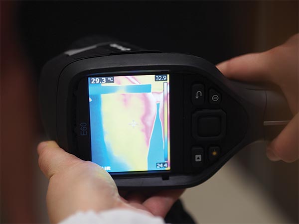 como quitar la celulitis